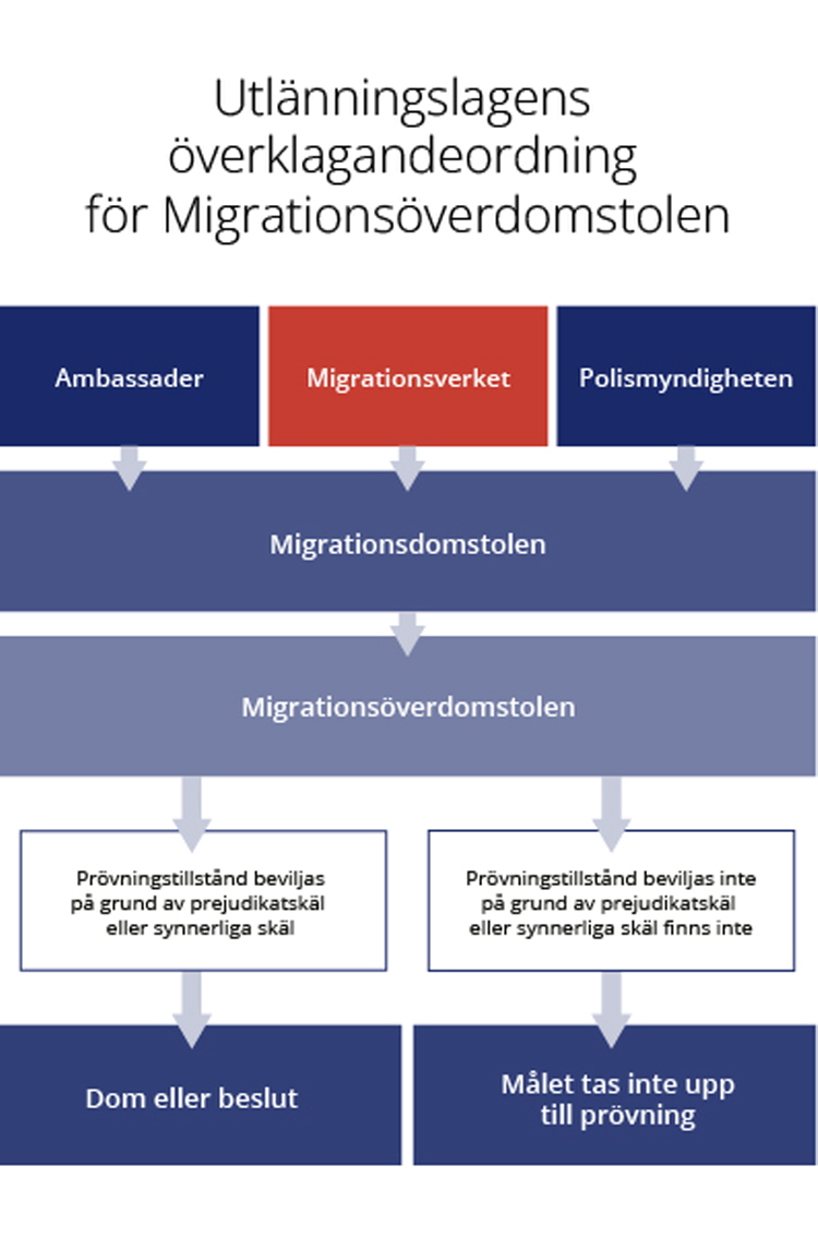 Migrationsprocessen